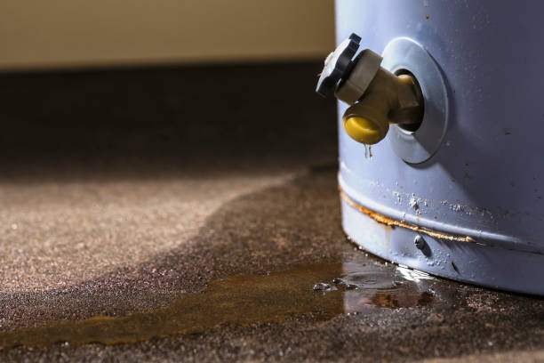 Best Commercial water damage restoration  in Norwood, OH