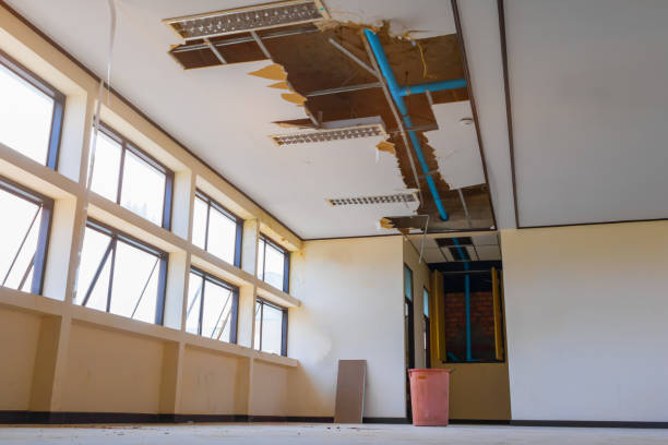 Best Water damage restoration cost  in Norwood, OH