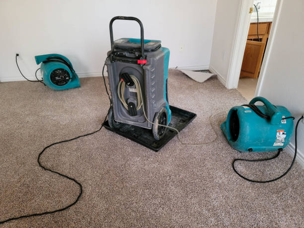 Best Flood damage cleanup  in Norwood, OH
