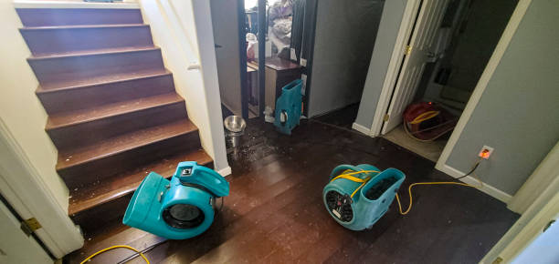 Best Local water damage restoration  in Norwood, OH