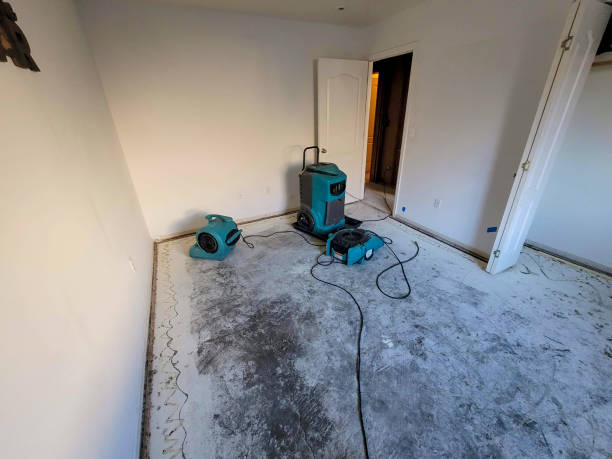 Best Water damage restoration near me  in Norwood, OH