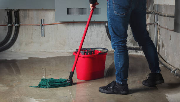 Best Basement water damage restoration  in Norwood, OH