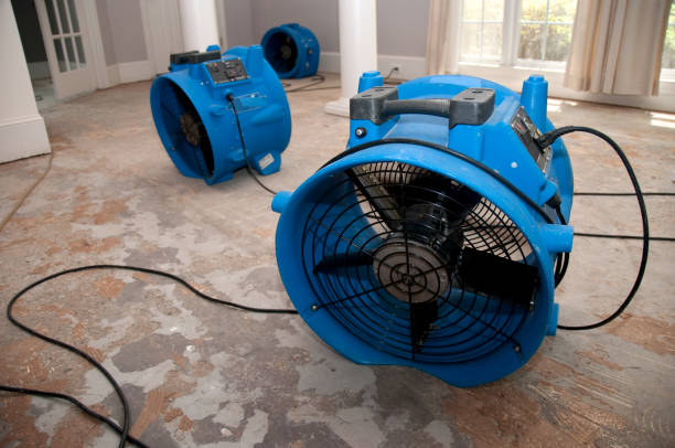 Best Local water damage restoration  in Norwood, OH