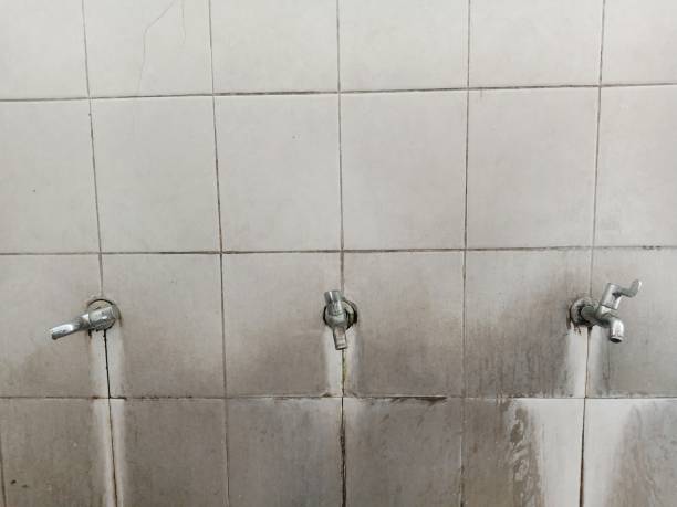 Best Basement water damage restoration  in Norwood, OH