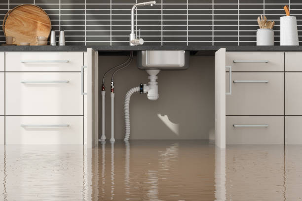 Best Flooded house restoration  in Norwood, OH